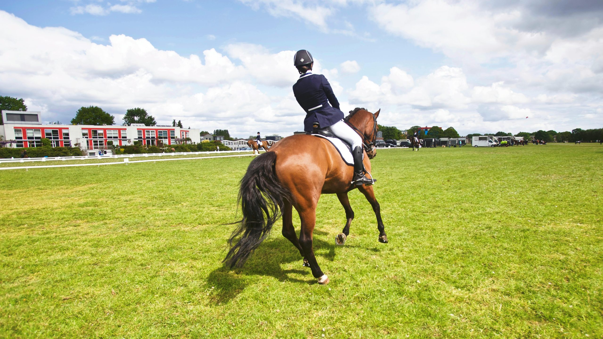 Person riding horse at the field during day